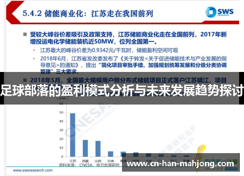 足球部落的盈利模式分析与未来发展趋势探讨 足球部落的盈利模式分析与未来发展趋势探讨