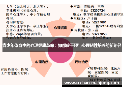 青少年体育中的心理健康革命：抑郁症干预与心理韧性培养的新路径